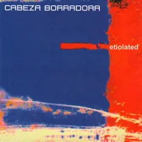 Cabeza Borradora