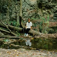 Svesda